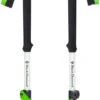 Black Diamond Expedition 3 Ski Poles