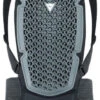 Dainese Pro Armor Back Protector G2