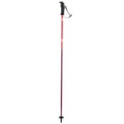 Elan LiteRod -Ski Promotions Magasin elan literod pink 110 cm pink 0